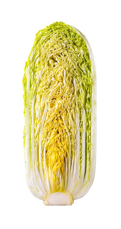 Half of napa cabbage isolated on a white background. Cross section of fresh chinese cabbage close-up. Vegetable, vegan food, food design concept. Front view.の写真素材