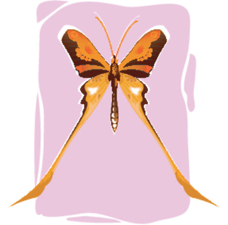 Butterfly,のイラスト素材