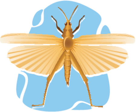 Butterfly,のイラスト素材