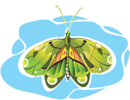 Butterfly,のイラスト素材