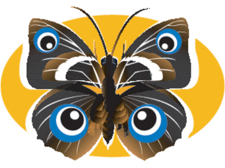 Butterfly,のイラスト素材