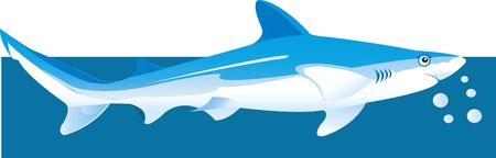 Shark,のイラスト素材