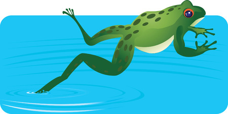 Frog Jumping out of water のイラスト素材