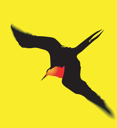 Cute sea bird flaying in the sky のイラスト素材