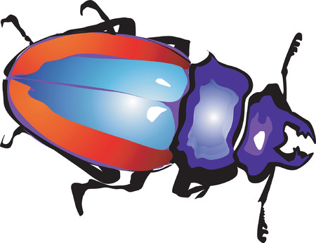 colourful Stag-Beetle isolatedのイラスト素材