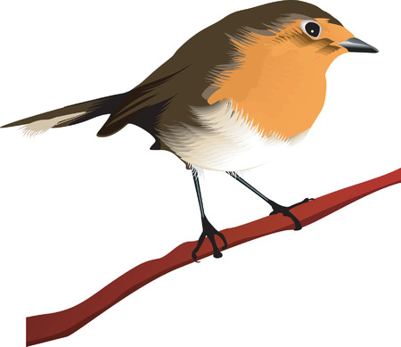 Beautiful bird sitting on trees branch のイラスト素材