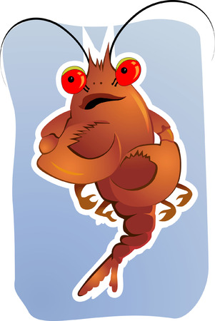 Shrimp のイラスト素材