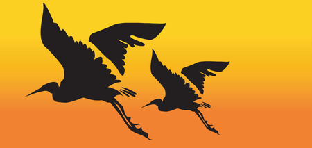 Two cranes flying のイラスト素材