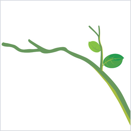 branch with two green leavesのイラスト素材