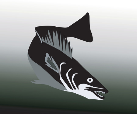 A fish turningのイラスト素材