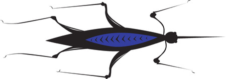 A water strider のイラスト素材