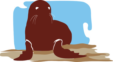 A seal on seashoreのイラスト素材