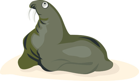 A sea lion looking for somethingのイラスト素材