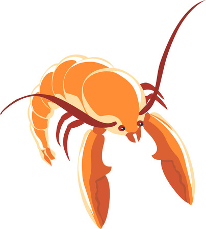 An isolated shrimp with antennaのイラスト素材