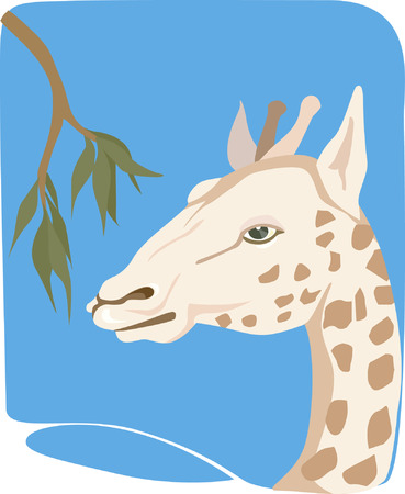 A giraffe heading to eat leafのイラスト素材