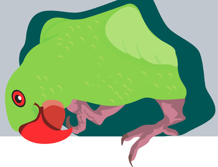 A silhouette of parrot coming out of nestのイラスト素材