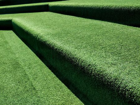 A clean and green grass-like carpet of a park.の写真素材