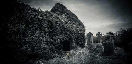 Ireland celtic cross at medieval church cemetery Old spooky cemetery. Haunted cemetery. Scary place. Old gravesの写真素材
