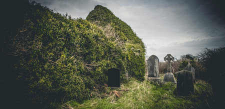 Ireland celtic cross at medieval church cemetery Old spooky cemetery. Haunted cemetery. Scary place. Old gravesの写真素材