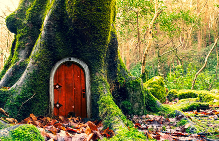 Fairytale fantasy house in tree trunk in forest. Small doors in the tree. Dwarf house.の写真素材