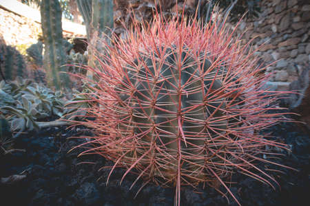 Conceptual digital Bitcoin art. Abstract background. Digital coin.の写真素材