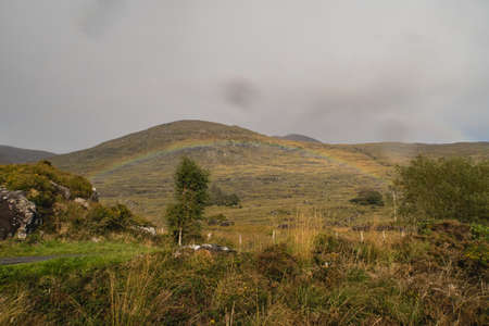 View over valley in Killarney National Park, Republic of Ireland.