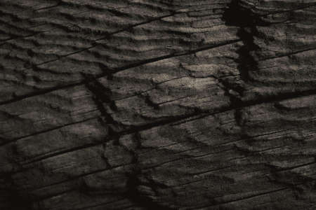 Wood Texture With Natural Pattern.