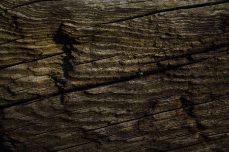 Wood Texture With Natural Pattern.