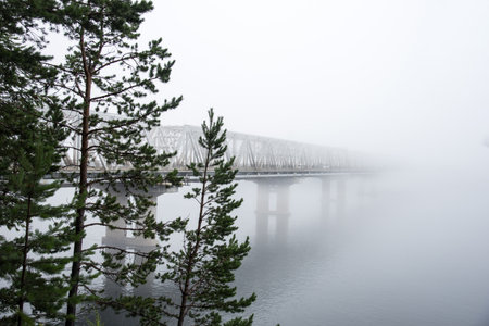 A bridge over a foggy river in the middle of a forest in Siberia.