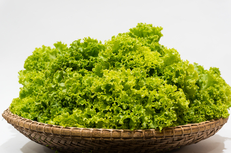 Lettuce in flat basket with white background.の写真素材