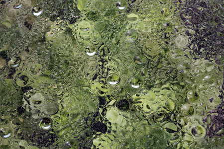 Water drops on glass with green background. Water drops on glass.