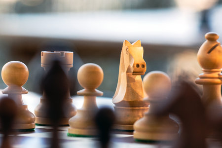 Wooden chess pieces on a chessboard, shallow depth of fieldの写真素材