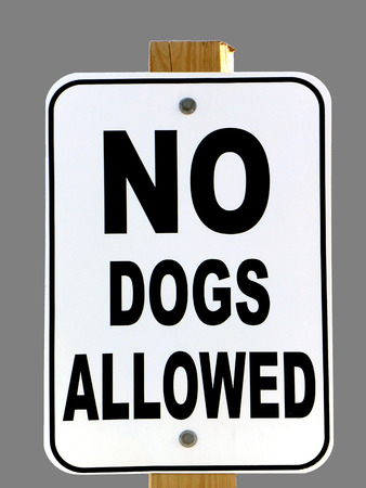 Sign reads  NO DOGS ALLOWED; isolated on greyの写真素材