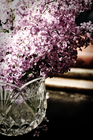A vase of lilacs with lowkey and film grain effects.の写真素材