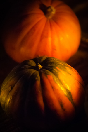 Two decorative orange squashの写真素材