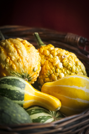 Assortment of decorative gourds in a basketの写真素材