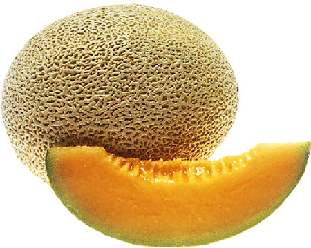 melon white backgroundの写真素材