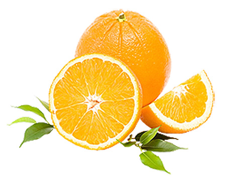 orange  white backgroundの写真素材