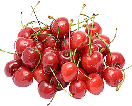 Ripe cherries on white backgroundの写真素材