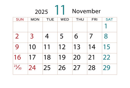 Calendar for November 2025 on white background. Vector Illustration.のイラスト素材