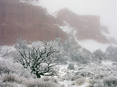 Inversion Fog in Arches National Park, Utahの写真素材