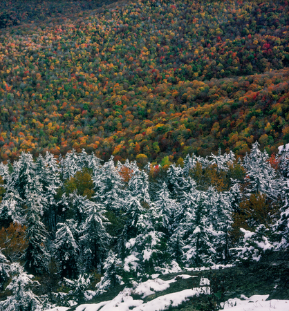 From the summit of Caribou Mountain, Caribou-Speckled Mountain Wilderness, Maineの写真素材