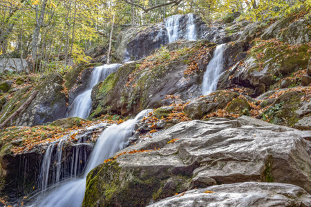 Dark Hollow Falls, Shenandoah National Park, Virginia