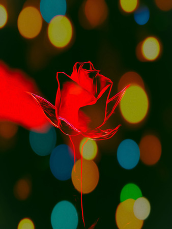 drawing. red rose with illuminated backgroundの写真素材