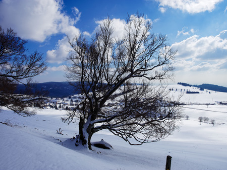 view on the farm village gersbach situated in a mountain valley in the south of Black Forest in winterの写真素材