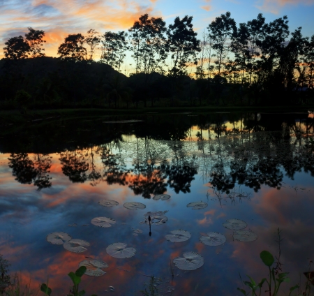 Reflection of trees and sunset colors at a lakeの写真素材