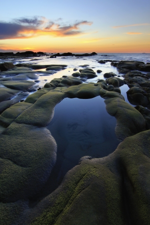 Green moss on rocks at sunset in Sabah, Borneo, Malaysiaの写真素材