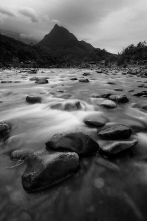 Tropical river and mountain in black and whiteの写真素材