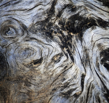 Wood texture closeupの写真素材