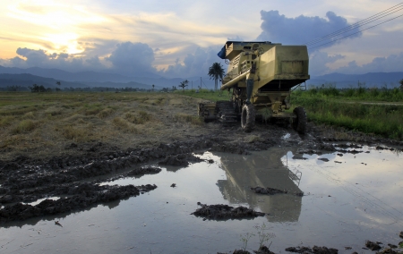 Combine harvester and harvested paddy at Borneo, Sabah, Malaysiaの写真素材
